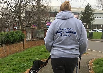 Bridgend dog trainers South Wales Dog Training Academy image 1