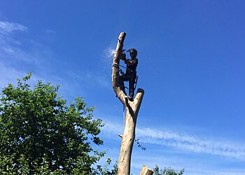 South Wales Tree Services Ltd.