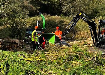 South Wales Tree Services Ltd.