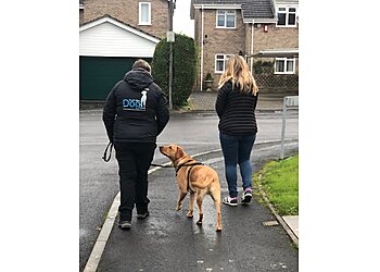 South West Dog Skills