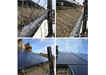 Southend City Pest Control Ltd