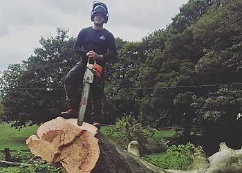 Southern Tree Care Limited