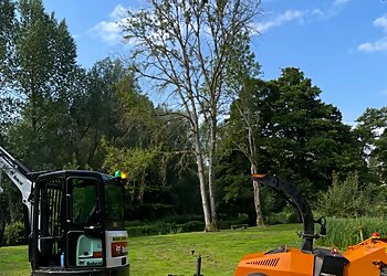 Southern Tree Care Limited