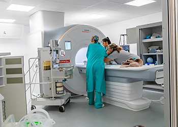 Southfields Veterinary Specialists