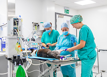 Southfields Veterinary Specialists