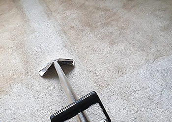 Sparkling Oven and Carpet Cleaning