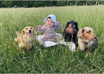 Specialist Dog Training