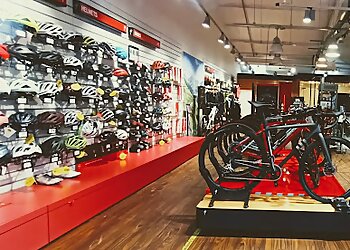 Specialized Concept Store