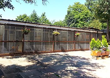 Springbank Farm Kennels & Cattery