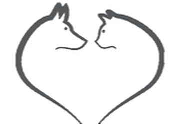 Springbank Farm Kennels & Cattery