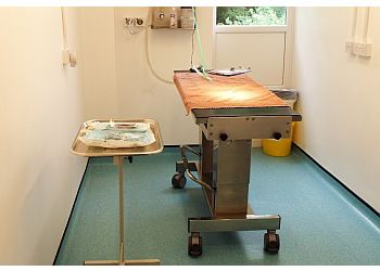 3 Best Vets in Rotherham, UK - Expert Recommendations