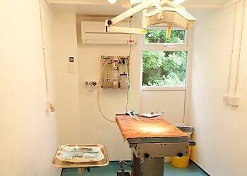 3 Best Vets in Rotherham, UK - Expert Recommendations