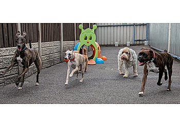 Springvale Canine Creche Ltd