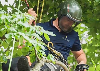 Springwood Tree Services Ltd.