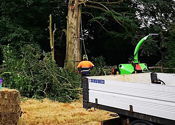 Springwood Tree Services Ltd.