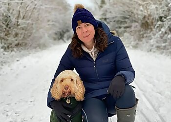 Sprocket and Friends Dog Walking