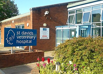 Exeter vets St Davids Veterinary Hospital Exeter image 1