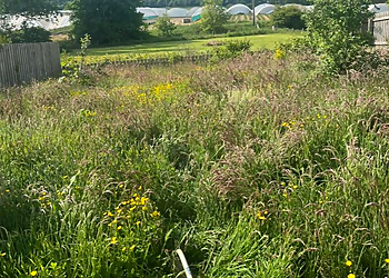 St Madoes Garden Maintenance