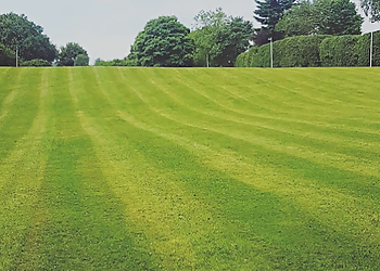 Stafford Grass Cutting