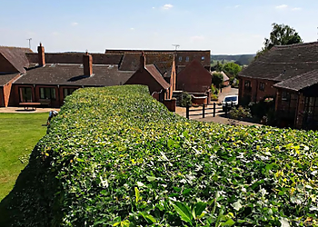 Stafford Grass Cutting