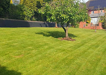 Stafford Grass Cutting Stafford Grass Cutting