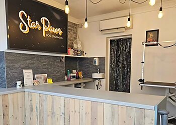 Star Paws Dog Grooming