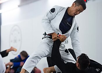 Bolton martial arts Stealth BJJ Bolton image 1