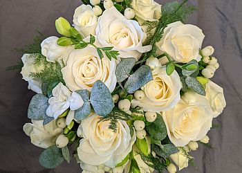 Stems of Beauty Ltd.