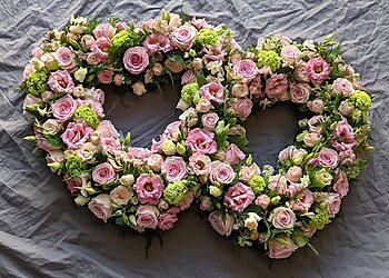 Stems of Beauty Ltd.