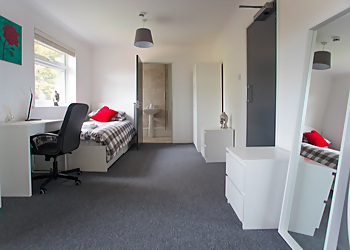 Step By Step Recovery