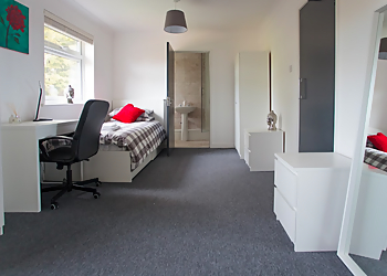 Step by Step Recovery