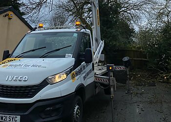 Stephen Johnson Tree Services