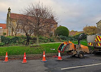 Stephen Johnson Tree Services