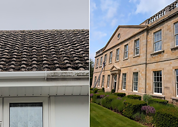 Steveo's Exterior Cleaning Services