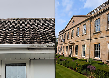 Steveo's Exterior Cleaning Services