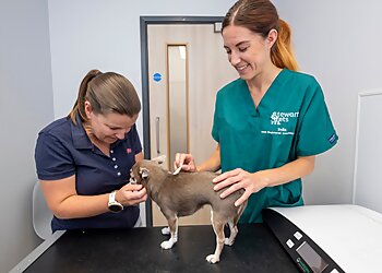 Stewart Vets Dudley