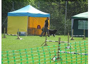 Stirling Dog Behavioural Centre