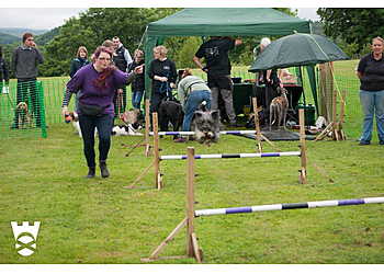 Stirling Dog Behavioural Centre