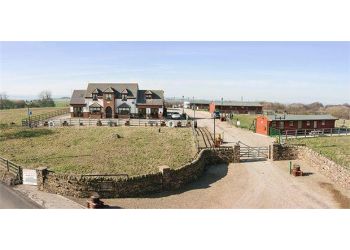 Stoneygate Stables Kennels & Cattery