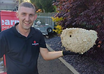 Strathearn Pest Control Ltd