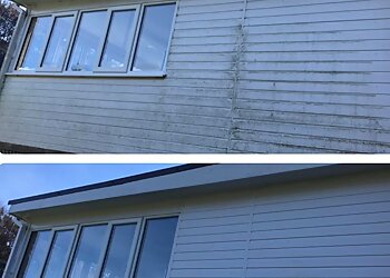 Streak Free Window Cleaning