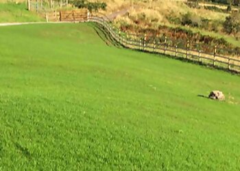 Struan’s Landscaping & Groundworks