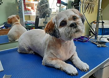 Style4Paws Professional Dog Grooming