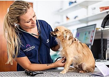 Summercourt Veterinary Centre