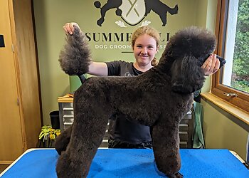 Summerville Dog Spa