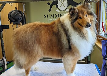 Summerville Dog Spa