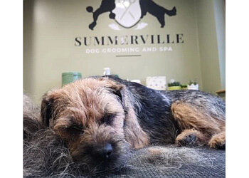 Summerville Dog Spa