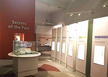 Sunderland Museum & Winter Gardens