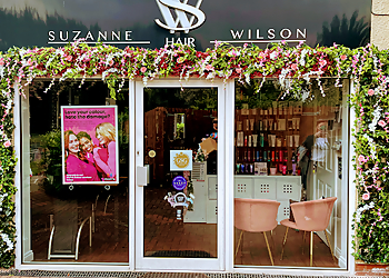 Suzanne Wilson Hair