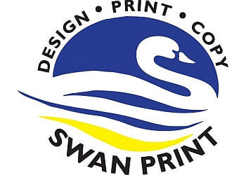 Swan Print